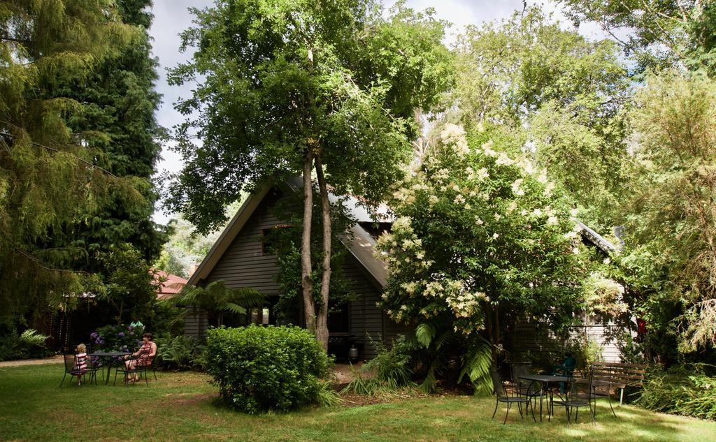 Mountain View Holiday Retreat Harrietville Buitenkant foto